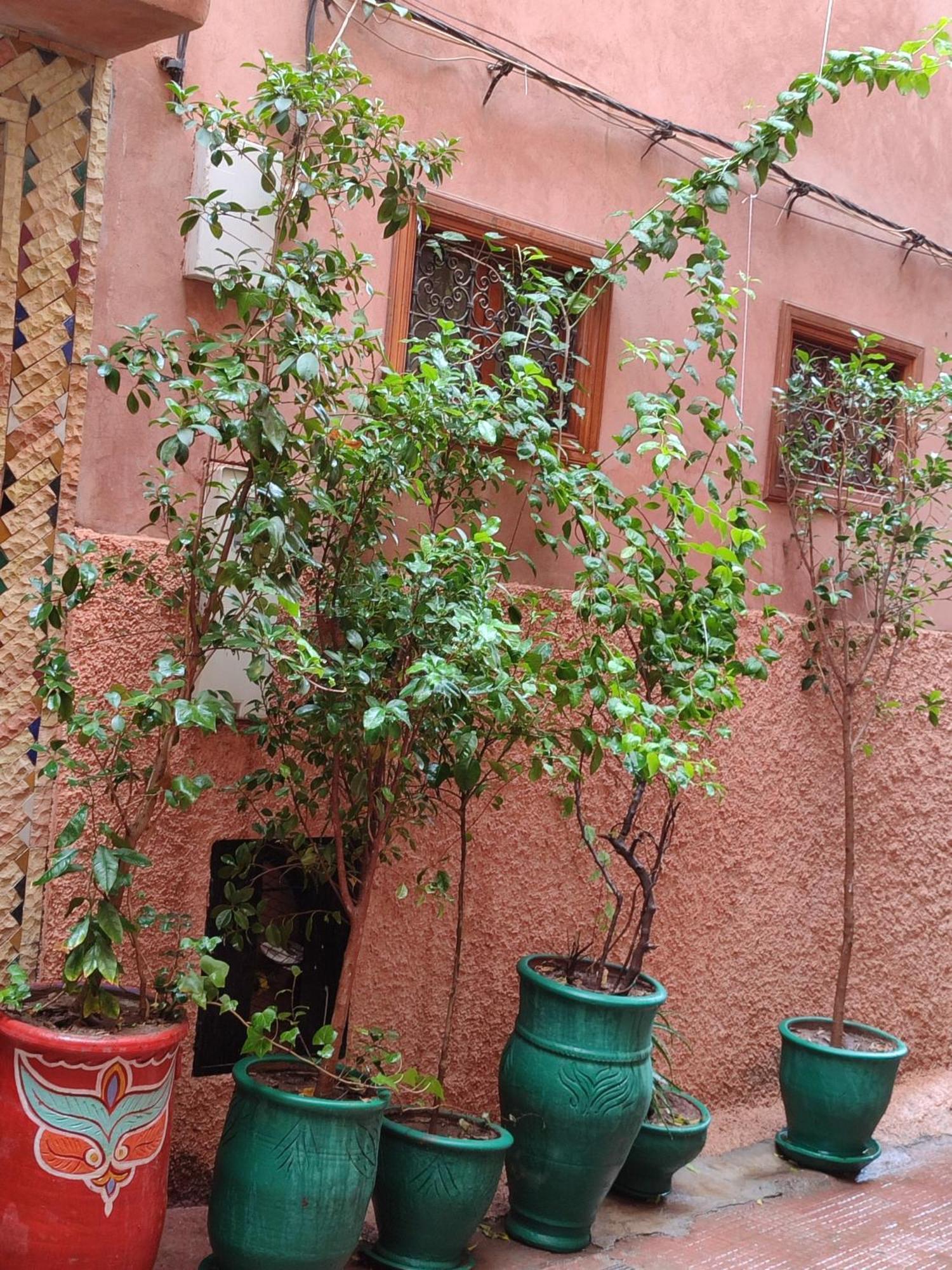Riad Zahri Marrakesh Luaran gambar